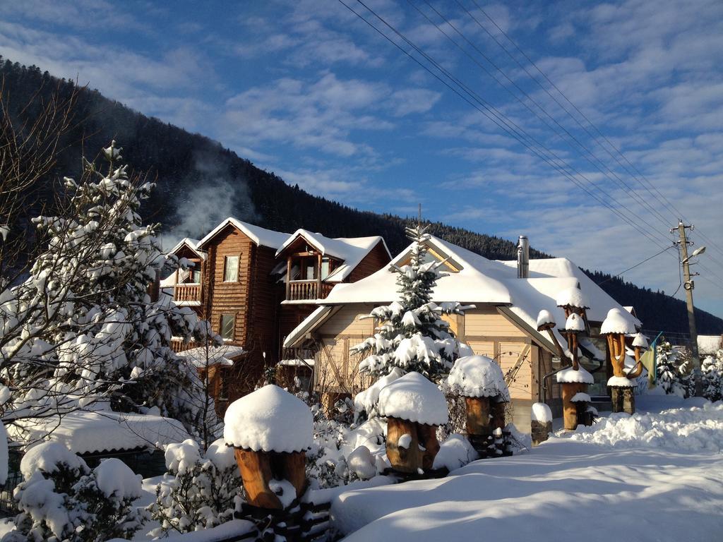 Guest House Anastasia Tatariv Dış mekan fotoğraf